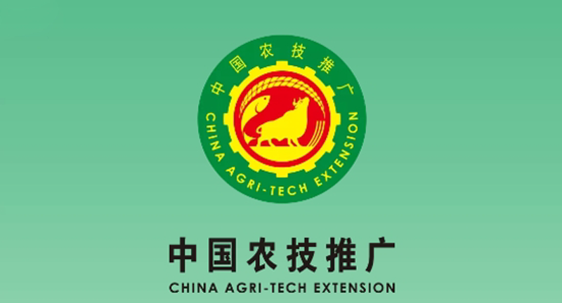 现代农业技术引领高效种植风潮