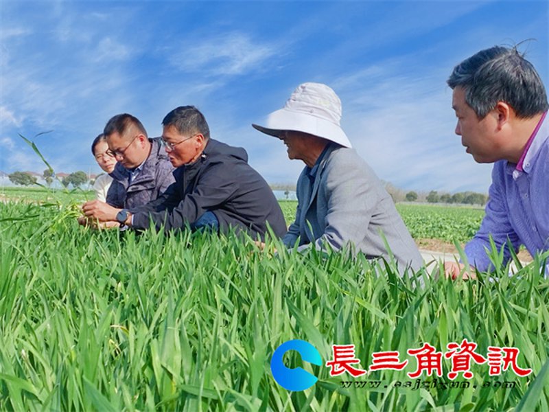 农业技术服务:引领现代农业科技革命